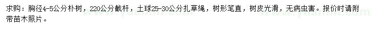 求購(gòu)胸徑4-5公分樸樹(shù)