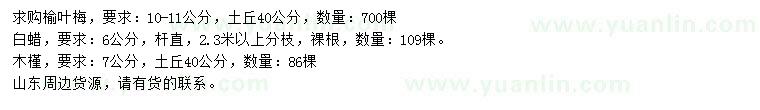求購榆葉梅、白蠟、木槿