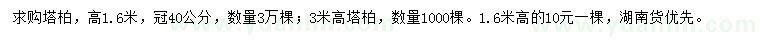 求購高1.6、3米塔柏