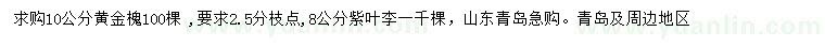 求購10公分黃金槐