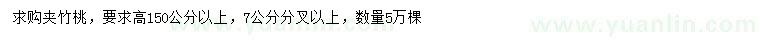 求購高150公分以上夾竹桃