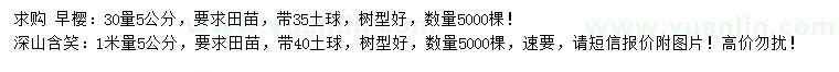 求購30量5公分早櫻、1米量5公分深山含笑