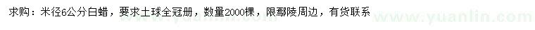求購米徑6公分白蠟
