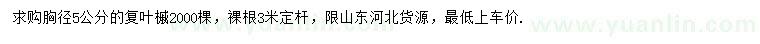 求購胸徑5公分復(fù)葉槭