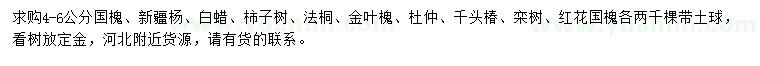 求購國槐、新疆楊、白蠟等