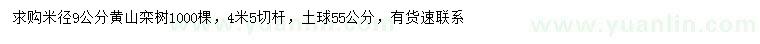 求購米徑9公分黃山欒樹(shù)