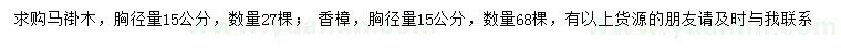 求購胸徑15公分馬褂木、香樟