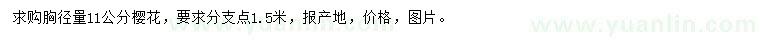 求購胸徑11公分櫻花