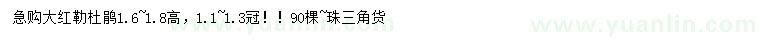 求購高1.6-1.8米大紅勒杜鵑