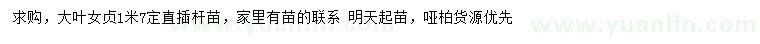 求購1.7米大葉女貞