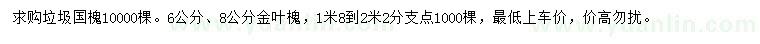 求購(gòu)國(guó)槐、6、8公分金葉槐