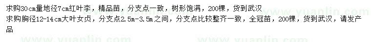 求購30公分量7公分紅葉李、胸徑12-14公分大葉女貞
