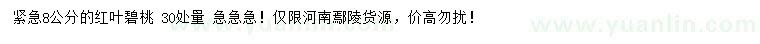 求購30量8公分紅葉碧桃