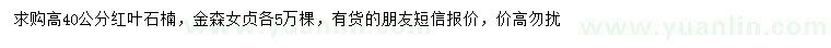 求購高40公分紅葉石楠、金森女貞