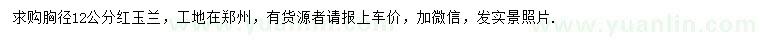 求購胸徑12公分紅玉蘭