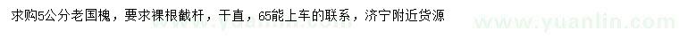 求購5公分老國槐