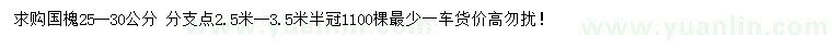 求購25-30公分國槐