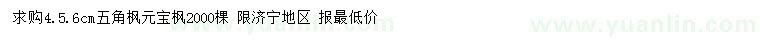 求購4、5、6公分五角楓 、元寶楓