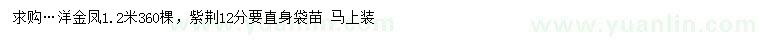 求購1.2米洋金鳳、12公分紫荊