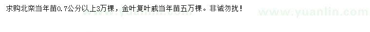 求購(gòu)0.7公分以上北欒、金葉復(fù)葉槭