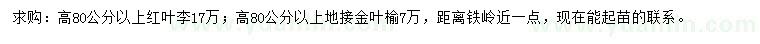 求購高80公分以上紅葉李、金葉榆