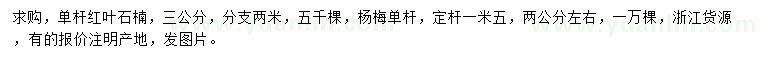 求購3公分紅葉石楠、2公分左右楊梅