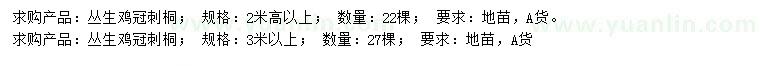 求購高2、3米以上雞冠刺桐
