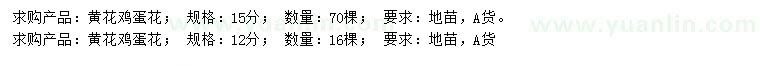求購(gòu)12、15公分黃花雞蛋花