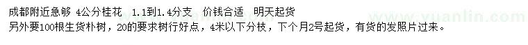 求購4公分桂花、20公分樸樹(shù)