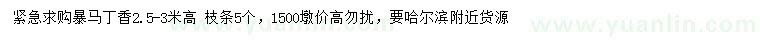 求購高2.5-3米暴馬丁香