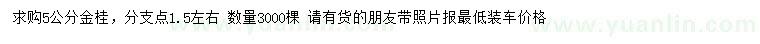 求購(gòu)5公分金桂