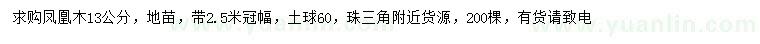 求購13公分?zhù)P凰木
