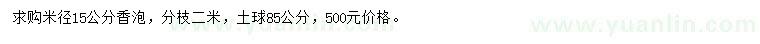 求購米徑15公分香泡