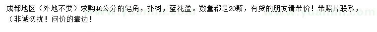 求購皂角、樸樹(shù)、藍花楹