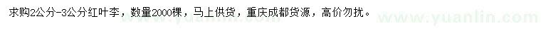 求購2-3公分紅葉李