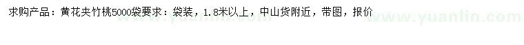 求購1.8米以上黃花夾竹桃