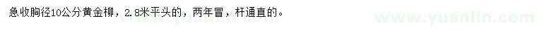 求購胸徑10公分黃金柳