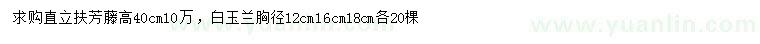 求購(gòu)高40公分扶芳藤、胸徑12公分白玉蘭