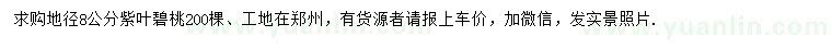 求購地徑8公分紫葉碧桃