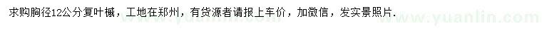 求購胸徑12公分復葉槭