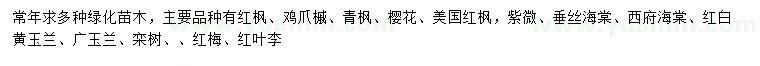 求購紅楓、雞爪槭、青楓等