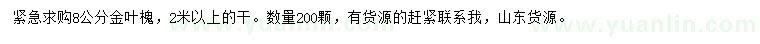 求購8公分金葉槐