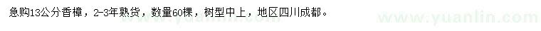 求購13公分香樟