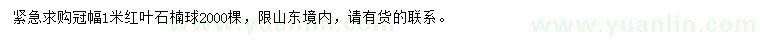 求購冠幅1米紅葉石楠球