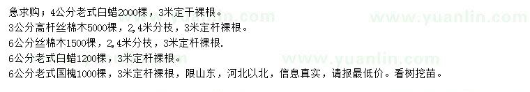 求購老式白蠟、絲棉木、老式國槐