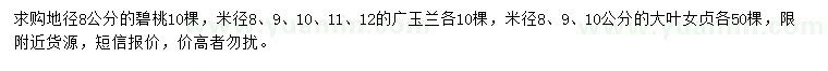 求購碧桃、廣玉蘭、大葉女貞