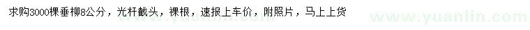 求購(gòu)8公分垂柳