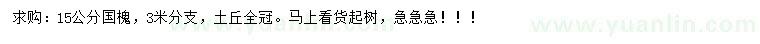 求購15公分國槐