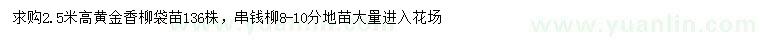 求購高2.5米黃金香柳、8-10公分串錢柳