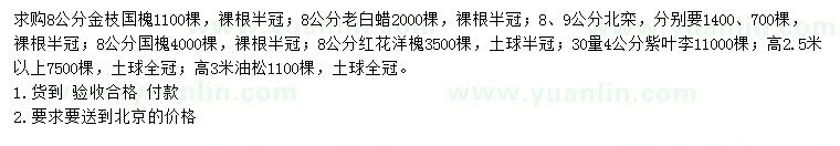 求購金枝國槐、老白蠟、北欒等